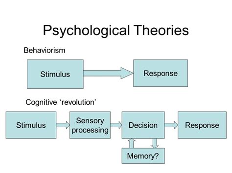 Psychological Theories - MaPuPa