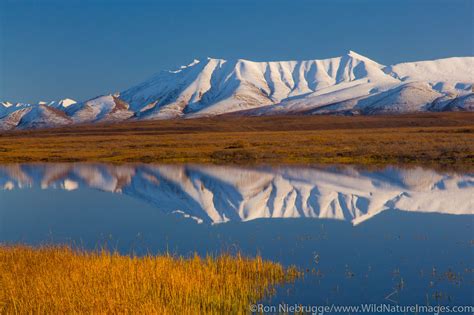 Brooks Range | Photos by Ron Niebrugge