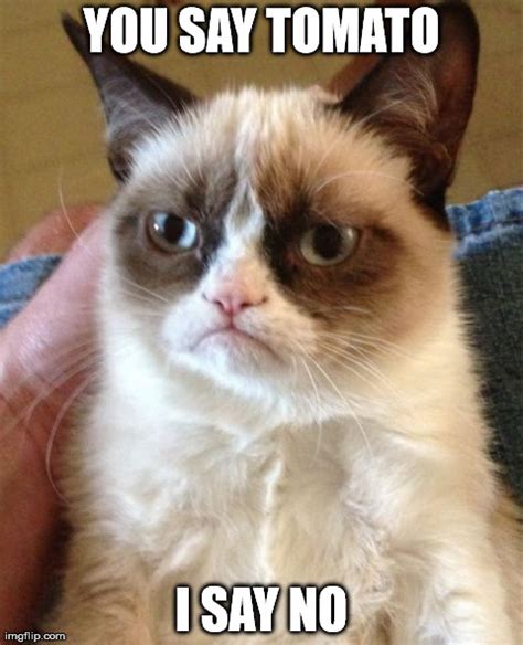 Grumpy Cat Meme - Imgflip