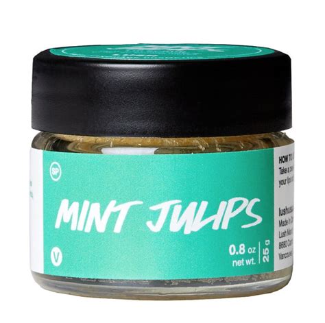 LUSH Cosmetics Mint Julips Lip Scrub reviews in Lip Scrub - ChickAdvisor