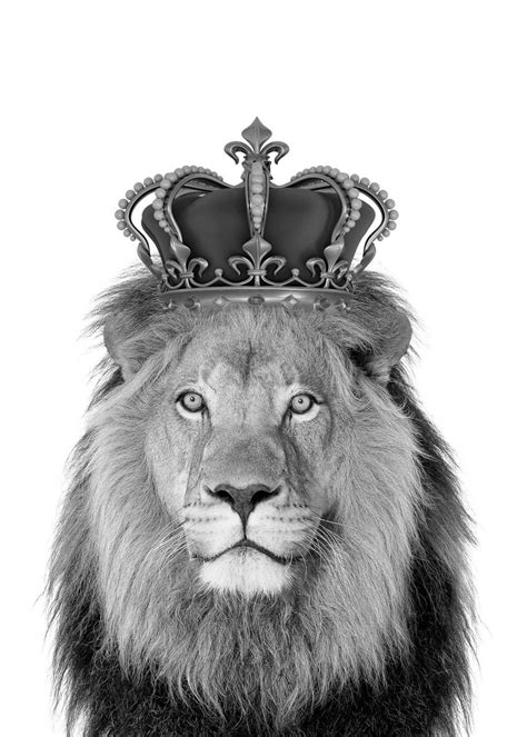 Lion With Crown - nokil