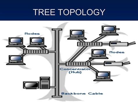 😎 Tree topology. Introduction to Computer Network Topology. 2019-02-15