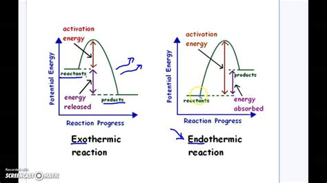 Endothermic Vs. Exothermic Reaction Graphs - YouTube