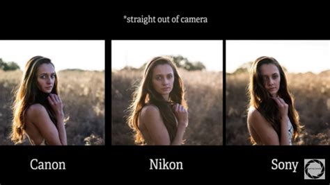 "Ultimate Camera" Shootout: Sony A7R III vs. Nikon D850 vs. Canon 5D ...