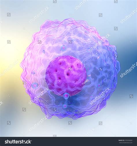 3d Renderillustrationlymphocytes Leukocytes Human Immune System Stock ...