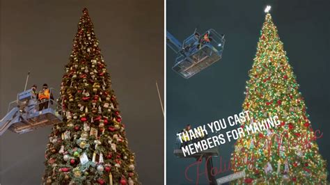 PHOTOS: Christmas Tree Installed at Disneyland Park - WDW News Today