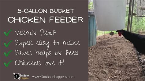 Our 5-Gallon Bucket Chicken Feeder Super Easy DIY And, 59% OFF