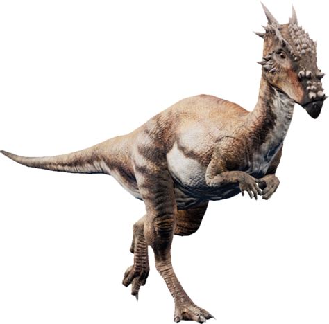 Dracorex. | Dinosaur, Jurassic world, Dinosaur images