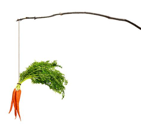 Carrot And Stick Stock Photos, Pictures & Royalty-Free Images - iStock