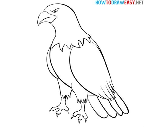 How to Draw an Eagle Easy - How to Draw Easy Eagle Outline, Animal ...