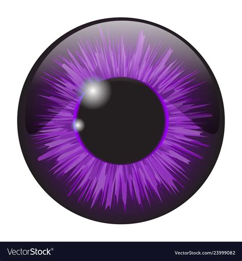 Purple iris eye realistic set design isolated Vector Image