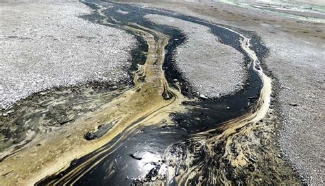 Efectos de la contaminación del suelo | ingeniero de caminos