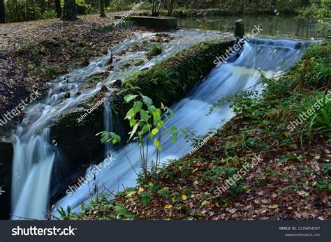 Stover Country Park Heart Wildlife Stock Photo 2229854007 | Shutterstock