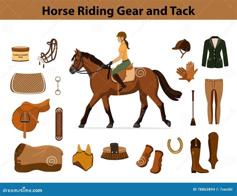 Equestrian Sport Equipment Set. Horseback Riding Gear Stock Vector ...