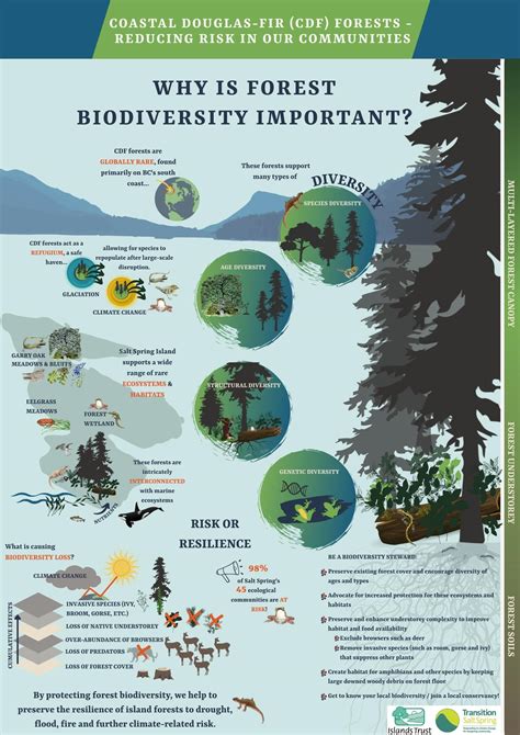 Infographic: Why is forest biodiversity important? – Transition Salt ...