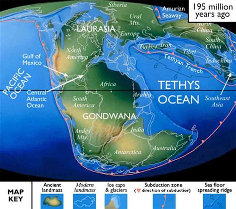 Pangea Maps - eatrio.net