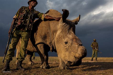 Wildlife Photographer of the Year 2017 Winners