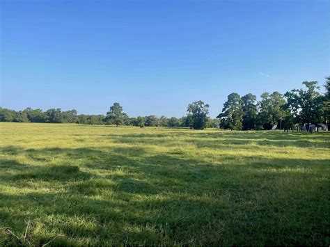 11047 Turtle Circle, Pittsburg, TX 75686 | MLS: 23010097 | Land.com