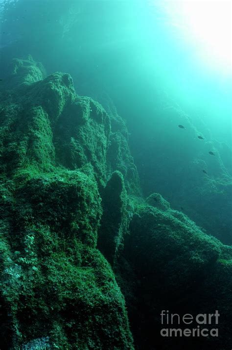 Rock formations underwater Photograph by Sami Sarkis