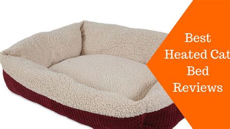 The Best Heated Cat Bed (Reviews in 2020)