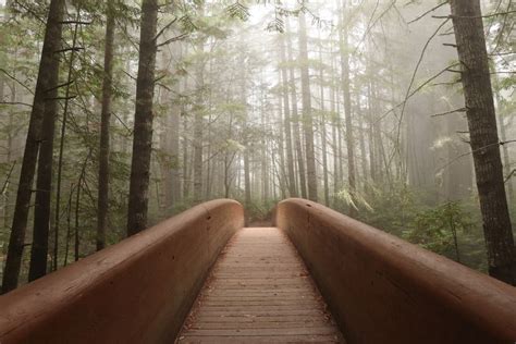 16 Best Hikes in Redwood National Park — The Discoveries Of