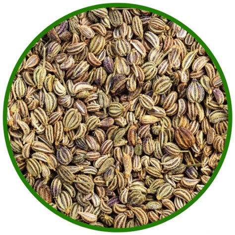 Ajwain Seeds – Viji Foods