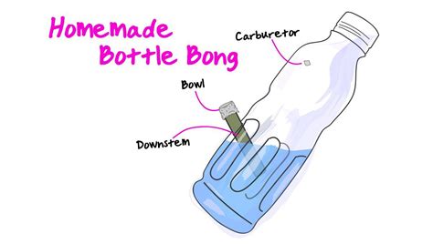 14 Different Types of Bongs – The Cannabis School