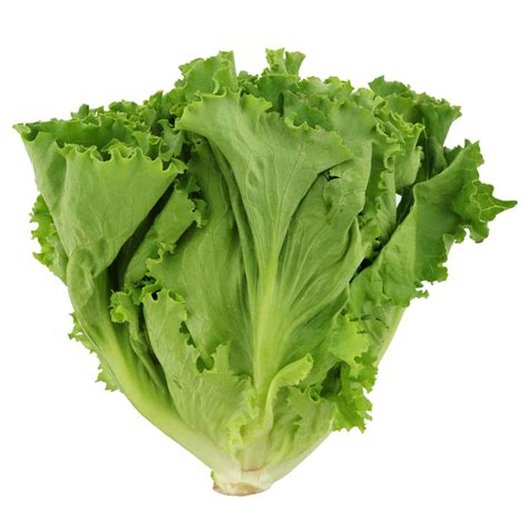 (EA) Green Leaf Lettuce – Sun Food Warehouse