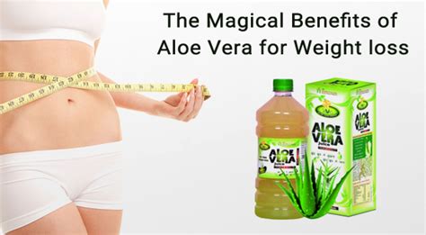 Aloe Vera Juice For Weight Loss - WeightLossLook