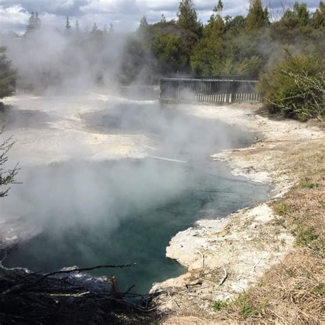 Rotorua Hot Springs in Kuirau Park | Fly With Me