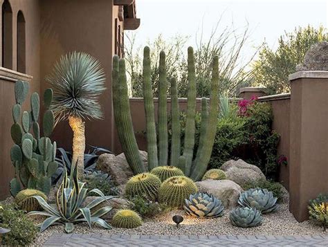 Outdoor Cactus Garden Ideas | Ngaji Media