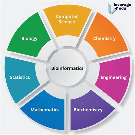 Bioinformatics - Leverage Edu