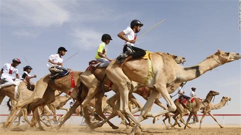 Camel racing: The multi-million dollar industry mixing modernity and ...