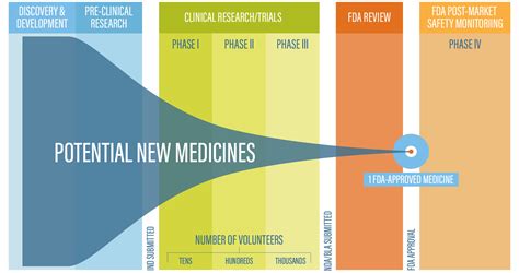 Everything You Need to Know About the Drug Development Process