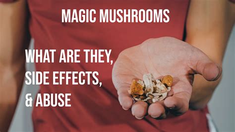 Magic Mushrooms: What are They, Side Effects, & Abuse