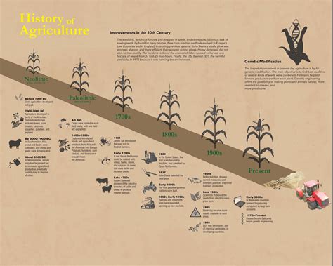 Kelsey Horner - History of Agriculture Infographic