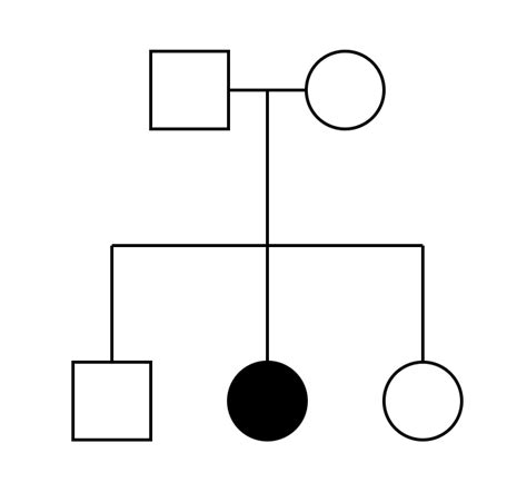 Pedigrees and Punnett Squares – Mt Hood Community College Biology 102