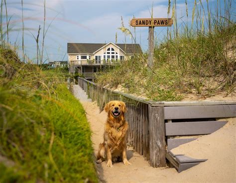 Pet Friendly Outer Banks (OBX) Vacation Rentals | Twiddy