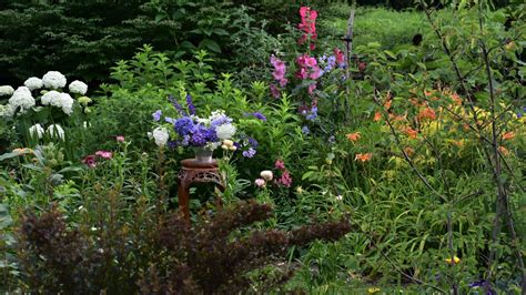 June Garden Tour // Northlawn Flower Farms - YouTube