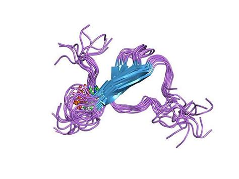 Tau protein | Wiki | Everipedia