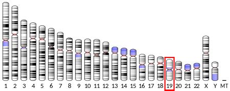 CD155 - Wikipedia