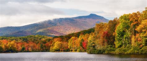 Best Time to See the Leaves Boone NC | Premier Landscape