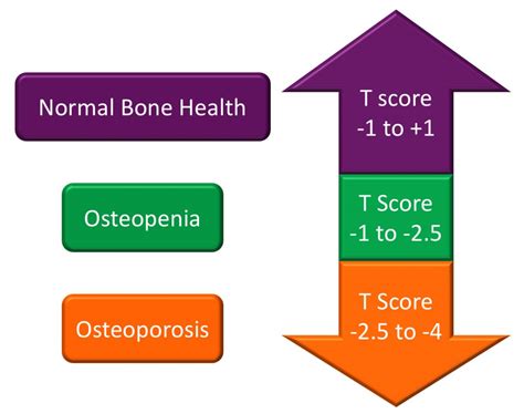 Osteoporosis Diagnosis