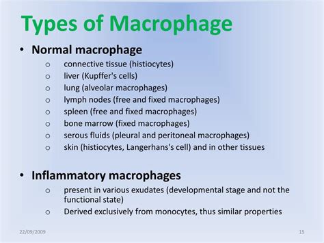 PPT - Macrophage PowerPoint Presentation - ID:431156