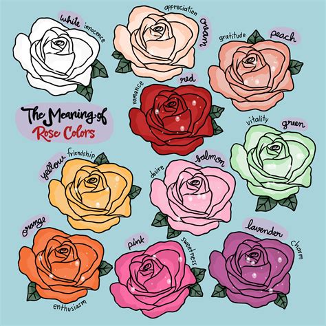 Roses And Their Different Meanings