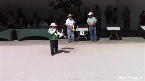 2023 Calaveras County Jumping Frog Jubilee Finals : CCTV : Free ...