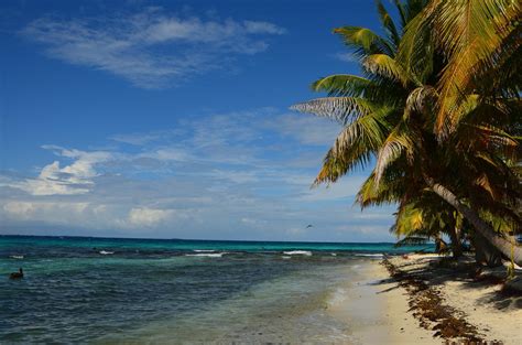 The Best Belize Tours & Trips 2025 - TourRadar