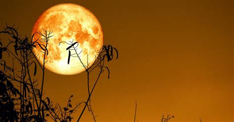 The October Harvest Moon Is Here — What It Means, How to See It, and More