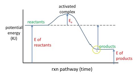 Chemical Potential Energy Diagram