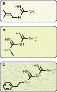 Chemical structures of galegine, metformin and phenformin. Metformin ...